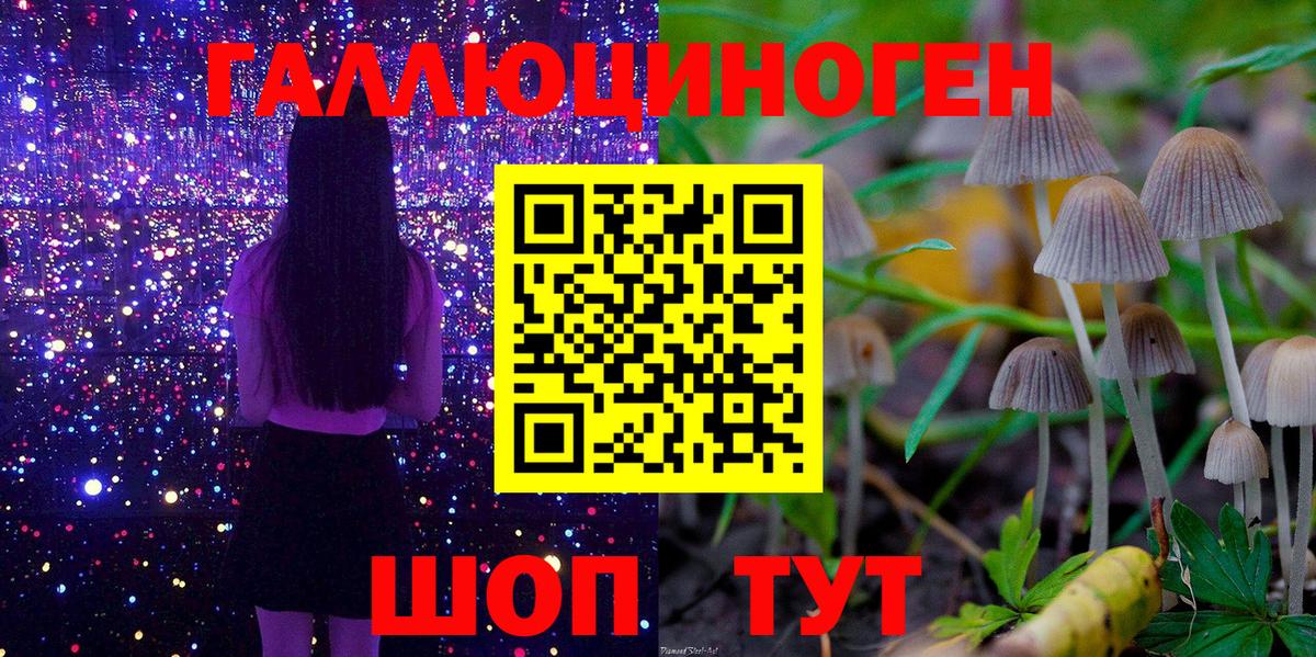 Псилоцибиновые грибы прущие грибы Чехов