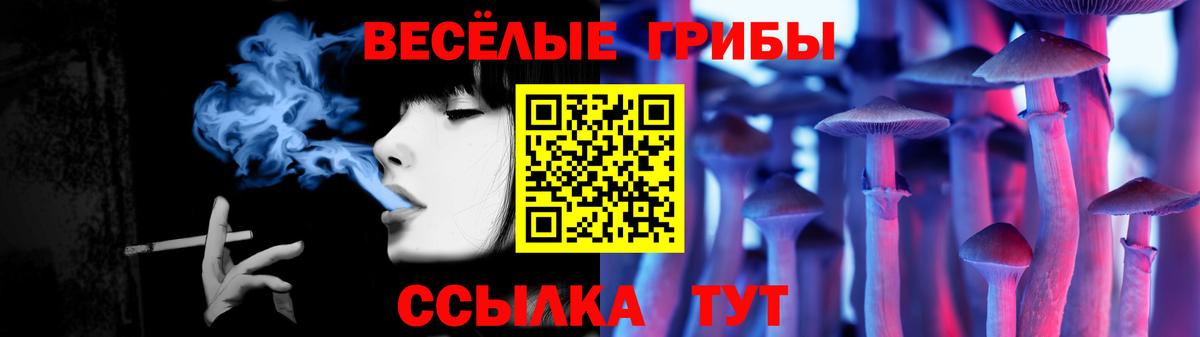 Чехов  Псилоцибиновые грибы Cubensis  Вход с VPN  Галлюциногенные грибы ЛСД 